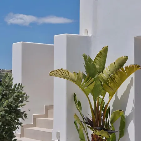 ホテル Le Palme Mykonos Klouvas