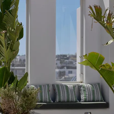 Le Palme Mykonos מלון